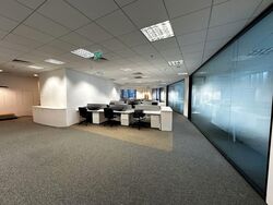 PLUS (D1), Office #543093791
